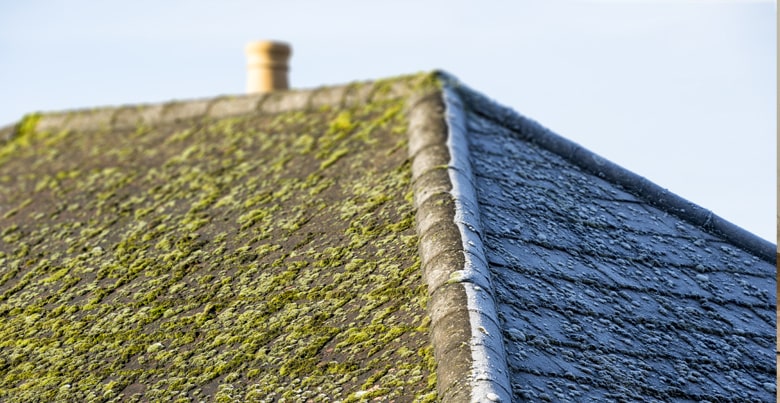 Onderhoud dak: Prijzen, voordelen en tips voor het ganse jaar