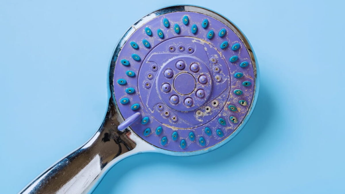Close-up van een douchekop met zichtbare kalkaanslag die de wateropeningen verstopt, een veelvoorkomend gevolg van hard water.