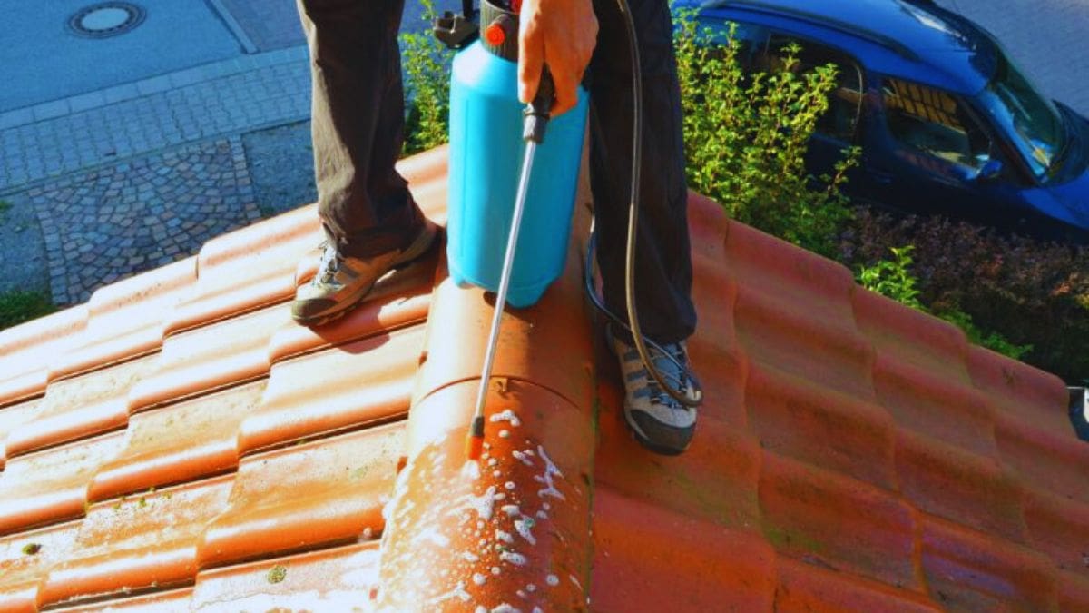 Dak inspuiten met anti-mosproduct